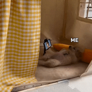 a dog laying on a bed next to a cell phone that says " me "