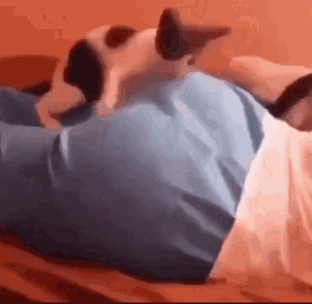 a person is laying on a bed with a stuffed animal on their back .