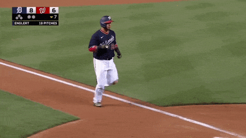 a baseball game is being played between the washington nationals and the dc tigers