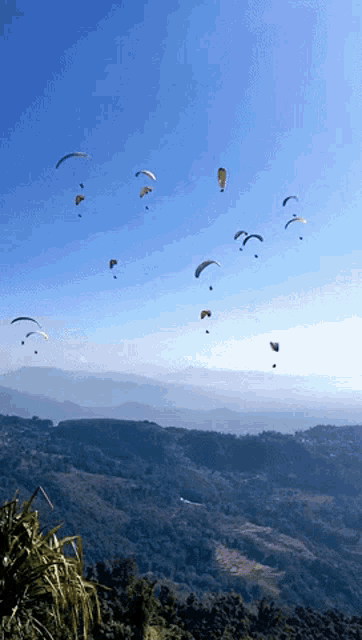 Paragliding Parapente GIF - Paragliding Parapente Pokhara GIFs