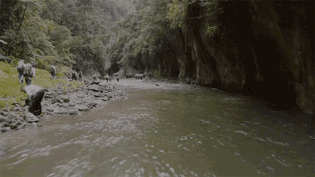 a group of people are walking along a river in a forest