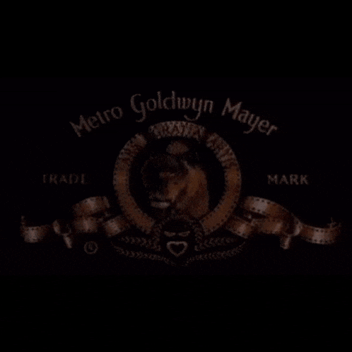 a logo for metro goldwyn mayer with a lion in the center