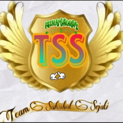 a gold shield with wings and the word tss written on it