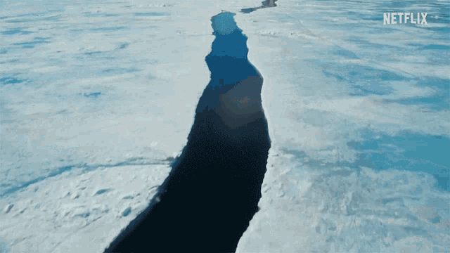 Lead Path GIF - Lead Path Arctic GIFs