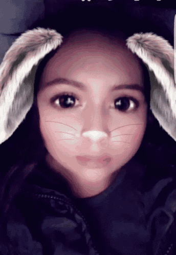Bunny Filter GIF - Bunny Filter GIFs