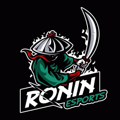 Ronin Esport Rnn GIF - Ronin Esport Rnn GIFs