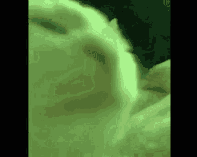 a close up of a cat 's face in a green light .