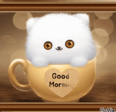 a cat in a cup that says good morning