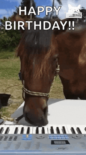 a horse is standing next to a piano keyboard and says happy birthday !