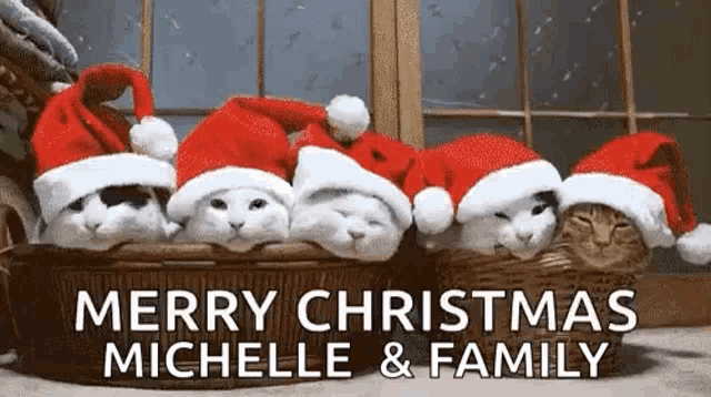 a group of cats in a basket wearing santa hats .