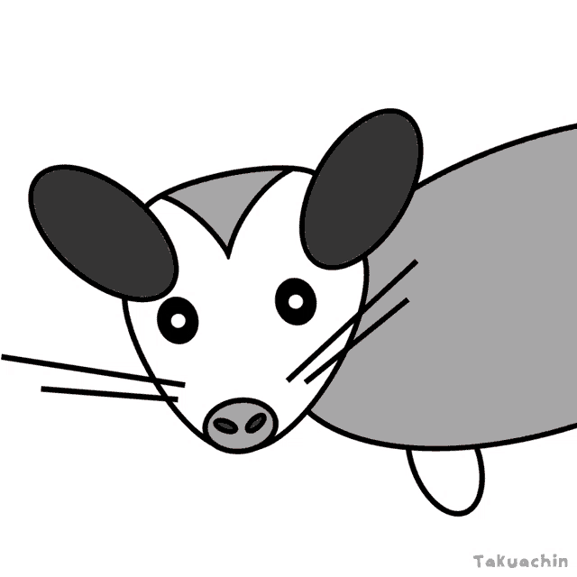 a drawing of an opossum with the name takuachin below it
