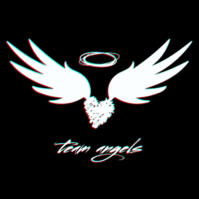 a picture of a heart with wings and the words team angels