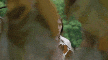 a woman in a white jacket is walking through a maze of trees