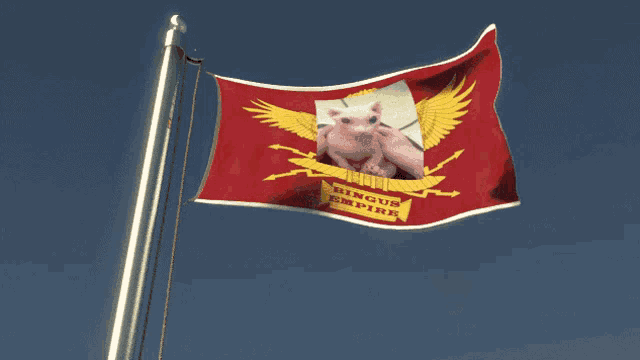 a red flag with a picture of a pig and the word india on it