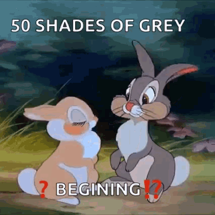 50shades Of Grey Beginning Bunny GIF - 50shades Of Grey Beginning Bunny Love GIFs