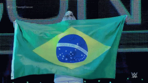 Taynara Conti GIF - Taynara Conti Brazil Flag GIFs