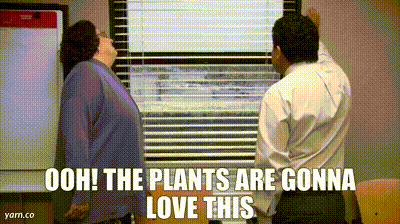a man and a woman are standing in front of a window with the words ooh the plants are gonna love this