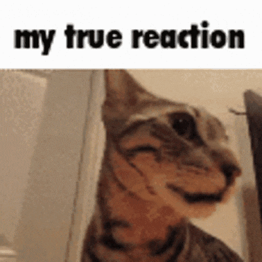 My Honest Reaction My True Reaction GIF - My Honest Reaction My True Reaction My Reaction To That Information GIFs