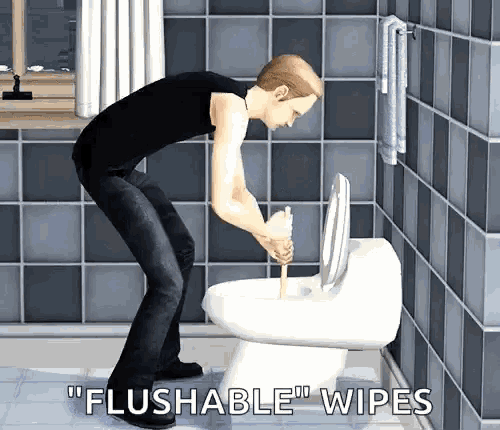 Toilet Plumbing GIF