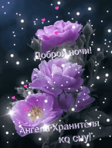 purple flowers on a dark background with hearts and snow