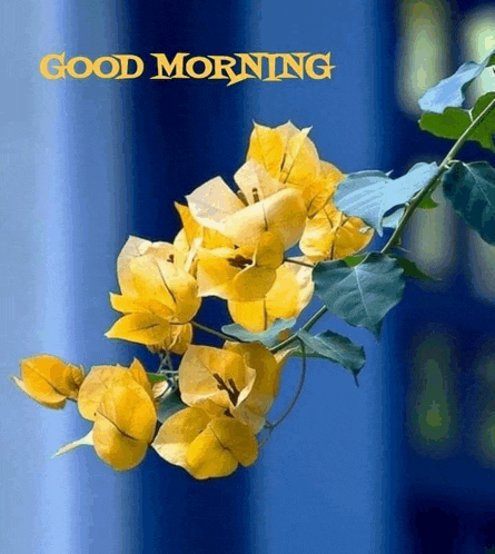 a bunch of yellow flowers with the words good morning written on the bottom