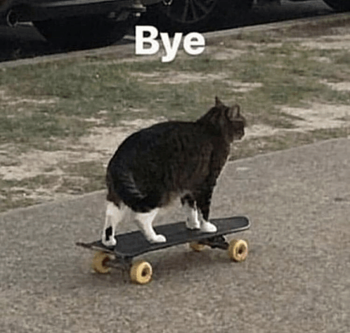 Cat Skateboard GIF - Cat Skateboard Bye GIFs