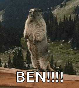 a groundhog standing on its hind legs on top of a wooden fence with the words ben written on it .