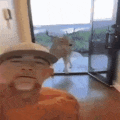 a man is taking a selfie with a deer standing in front of him .