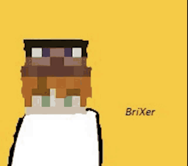 a pixel art of a person with the name brixer