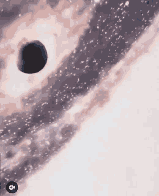 Science Gravity GIF - Science Gravity Cosmology GIFs