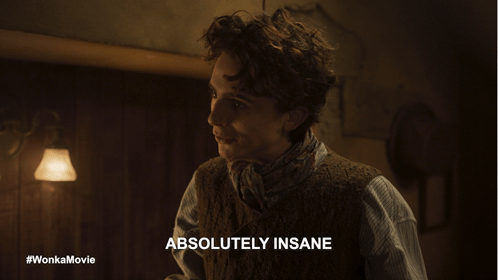 Absolutely Insane Willy Wonka GIF - Absolutely Insane Willy Wonka Timothée Chalamet GIFs
