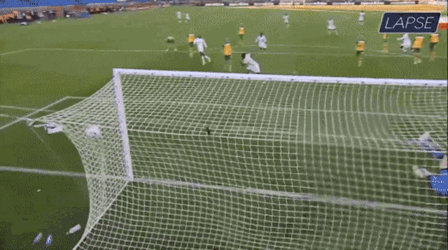 a group of soccer players celebrate a goal on a soccer field