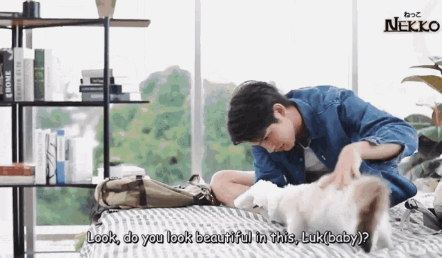 a man laying on a bed petting a dog with the word nekko on the bottom