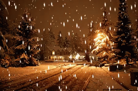雪景色 冬 GIF - Snow Night Time Winter GIFs
