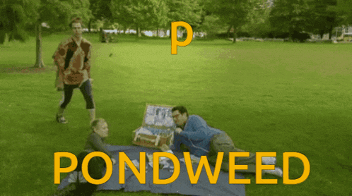 a man laying on a blanket in a park with the word pondweed written in yellow
