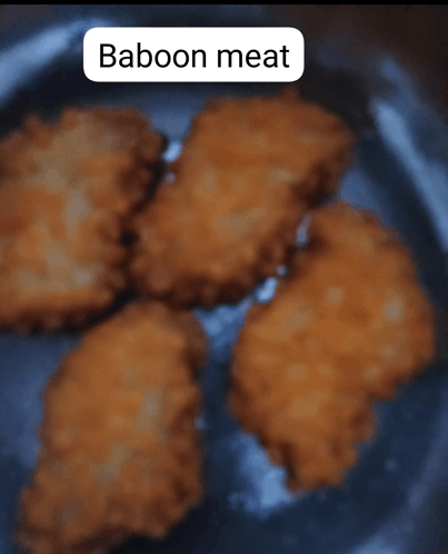 Baboonmeat Meme - Baboonmeat - Discover & Share GIFs