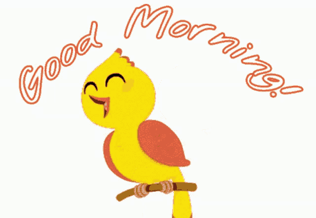 a yellow and red bird is sitting on a branch with the words good morning written above it