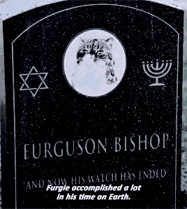a black gravestone for furguson bishop with a picture of a cat