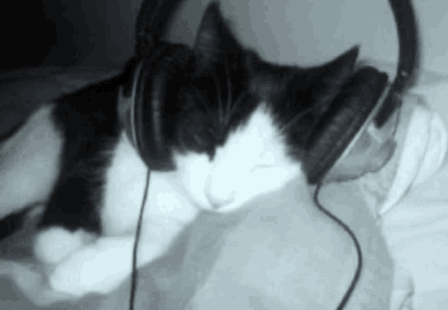 a black and white cat is wearing headphones and sleeping