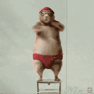 a hamster wearing a swim cap and goggles is standing on a stool .