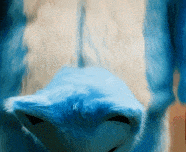 a close up of a blue and white furry item