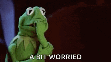 kermit the frog is holding his hand to his chin and saying `` i 'm a bit worried '' .