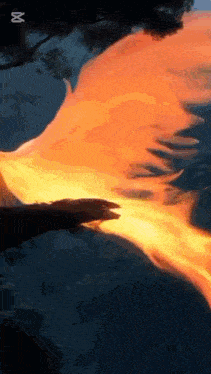 a close up of a bird 's wings covered in flames .
