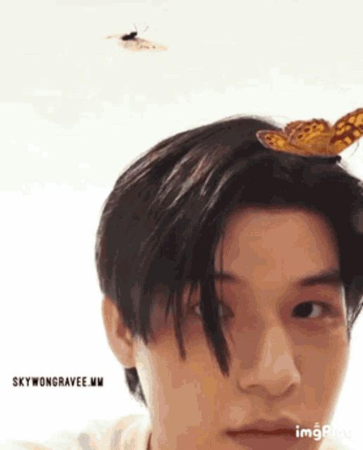 a man with a butterfly on his head looks at the camera .