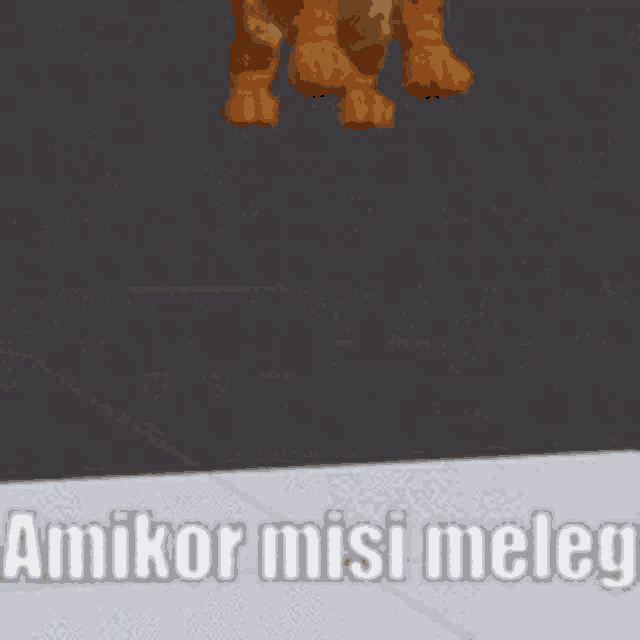a cartoon cat is standing on a tile floor with the words amikor misi meleg written below it .