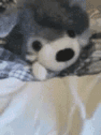 a stuffed dog is laying on a bed with its mouth open .