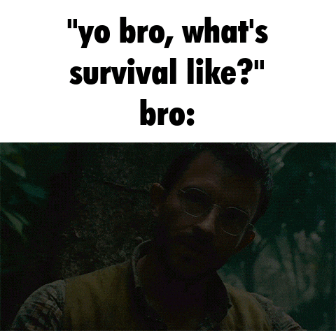a man wearing glasses says " yo bro what 's survival like bro survival is a long shot "