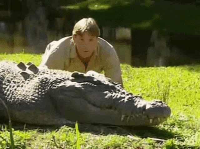 a man is laying on top of a large crocodile in a field .