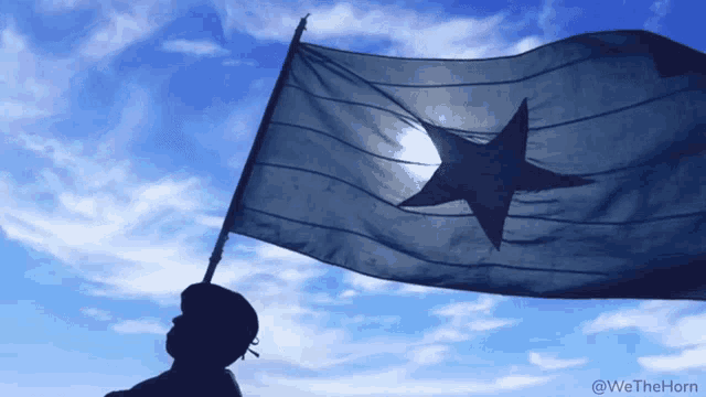 Somalia Wethehorn GIF