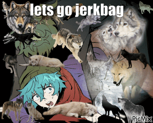 a collage of wolves with the words lets go jerkbag at the bottom